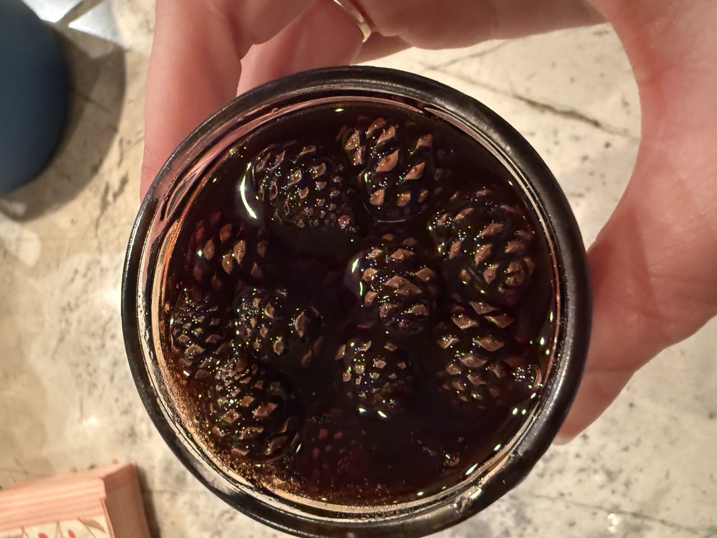 Pine cone and syrup jar — foraged forest ingredients