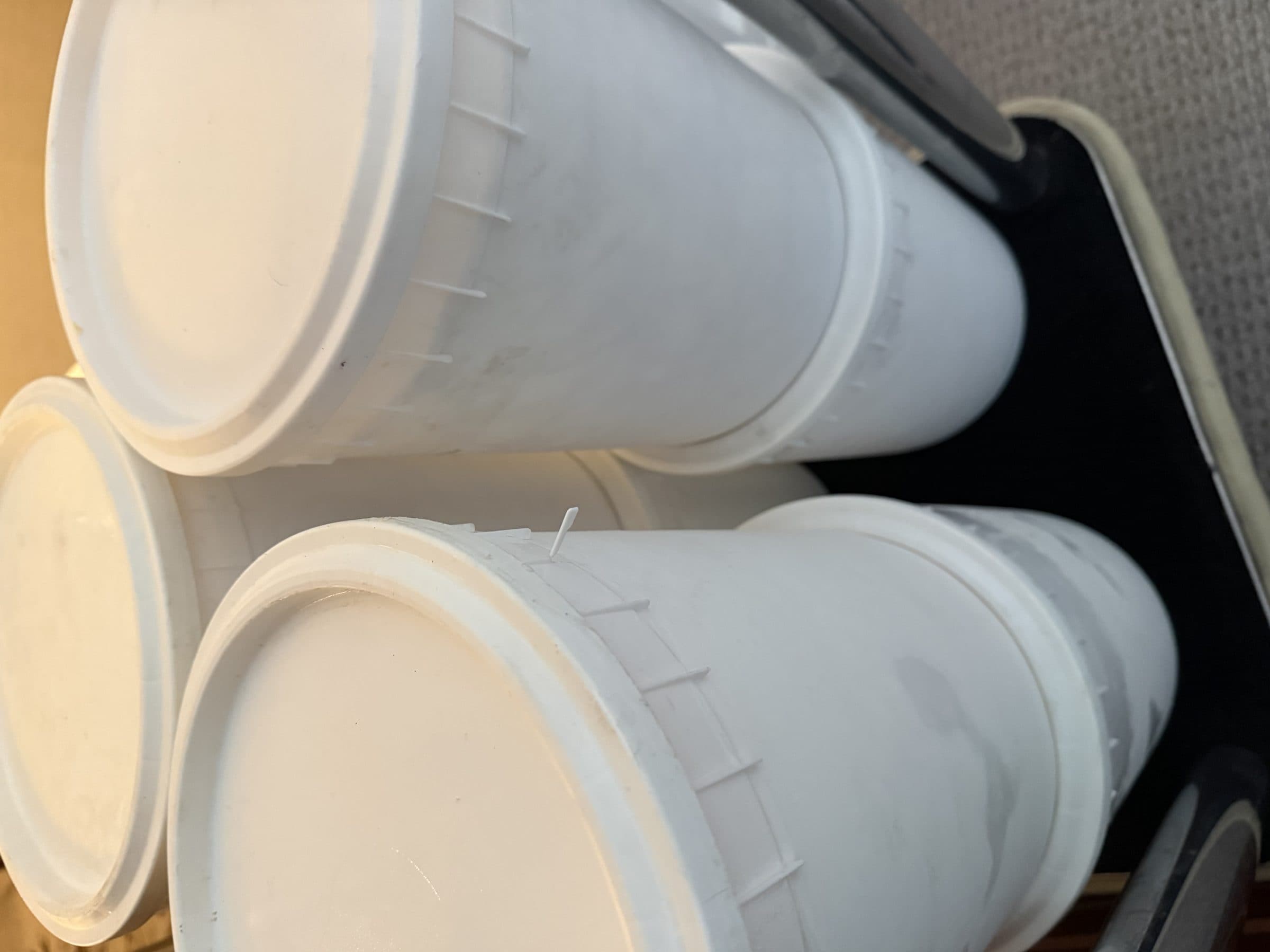 Syrup collection buckets from tree tapping