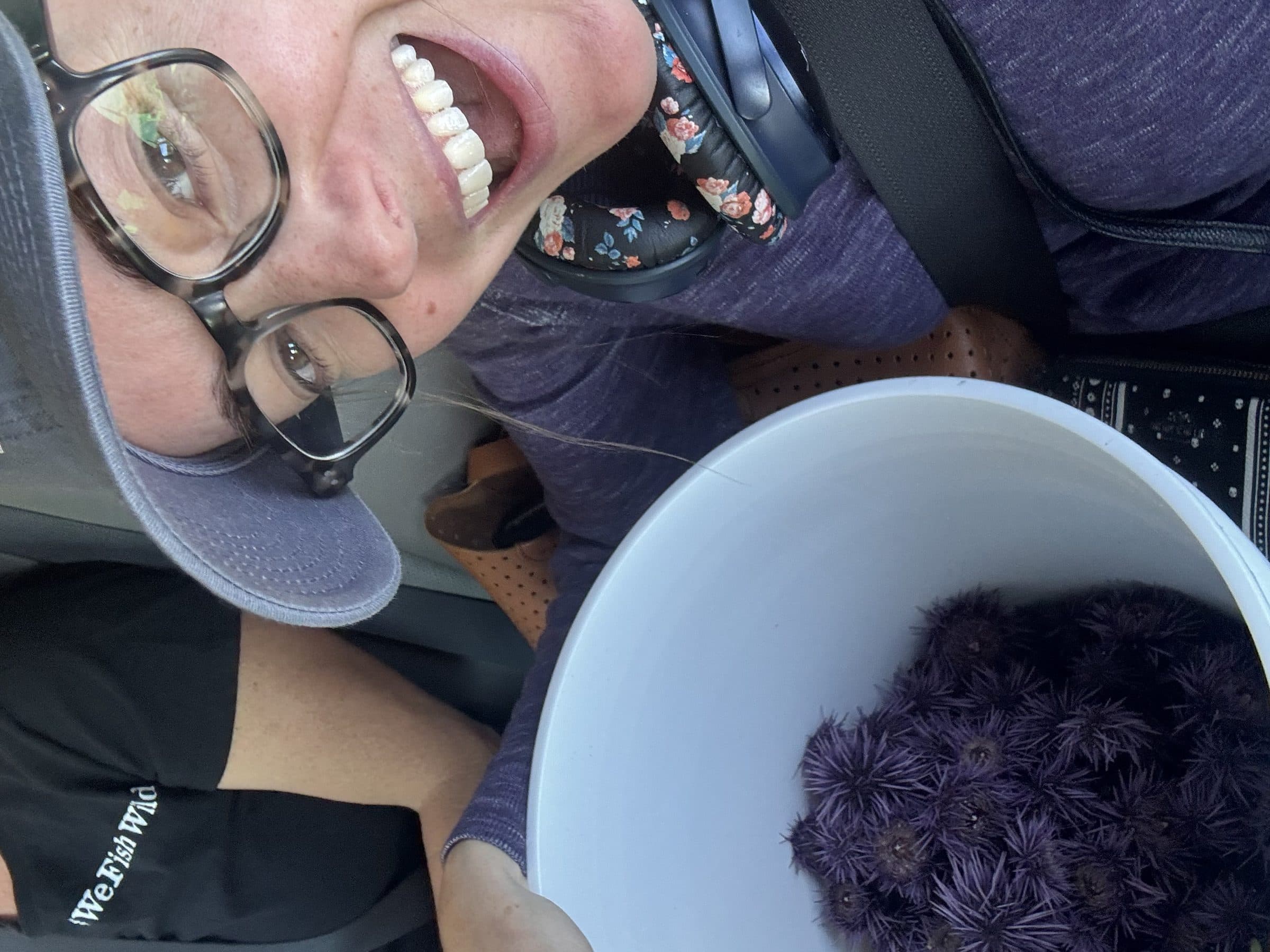 Harvesting purple sea urchins for the edible score