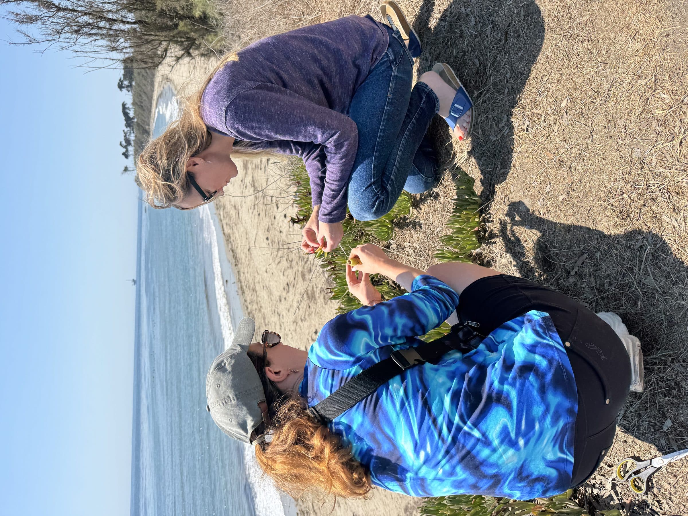 Fieldwork at Devereux — sourcing coastal ecological materials